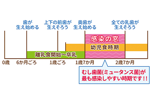 1歳7ヶ月から感染の窓がひらきます